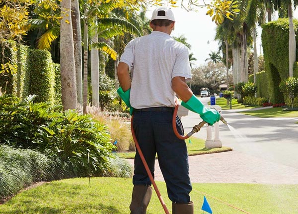 About Mildred MT Pest Control
